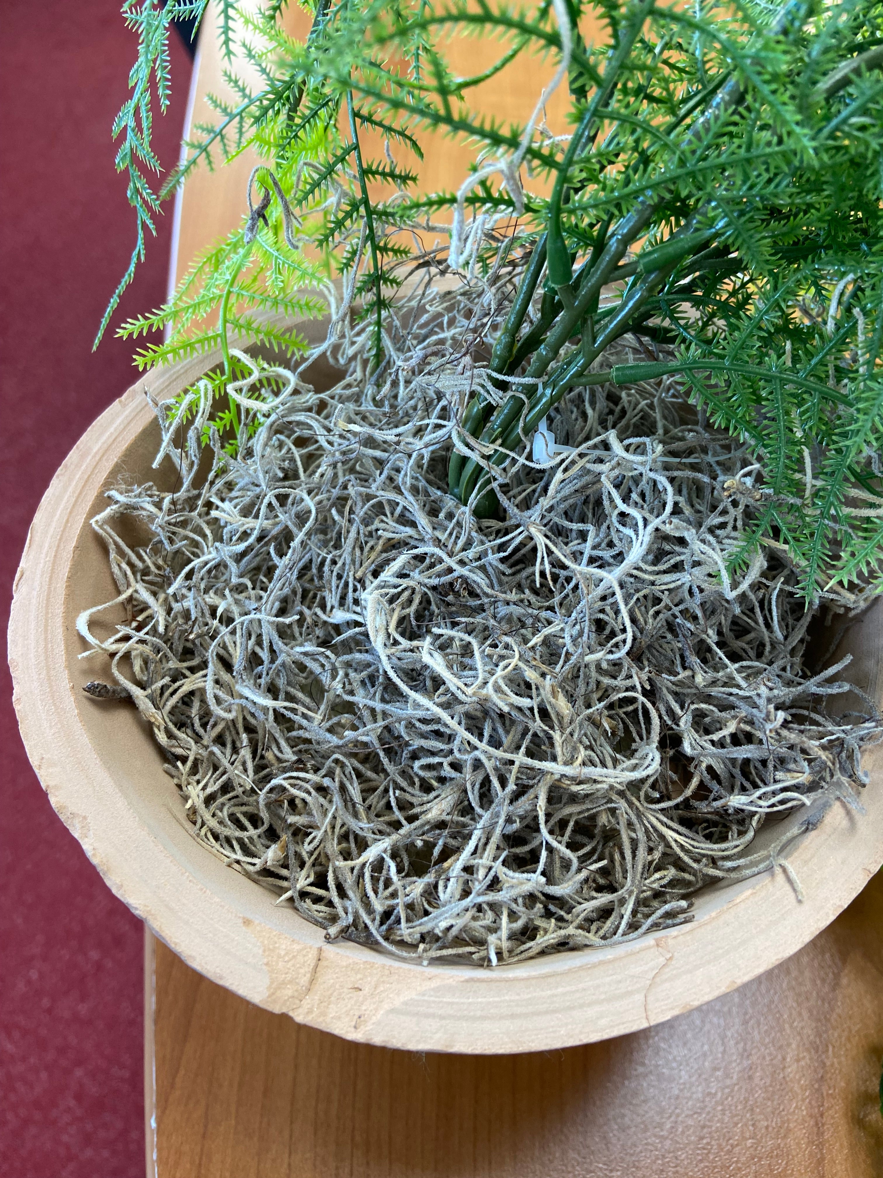 Asperge Artificielle Plante Suspendue 80cm