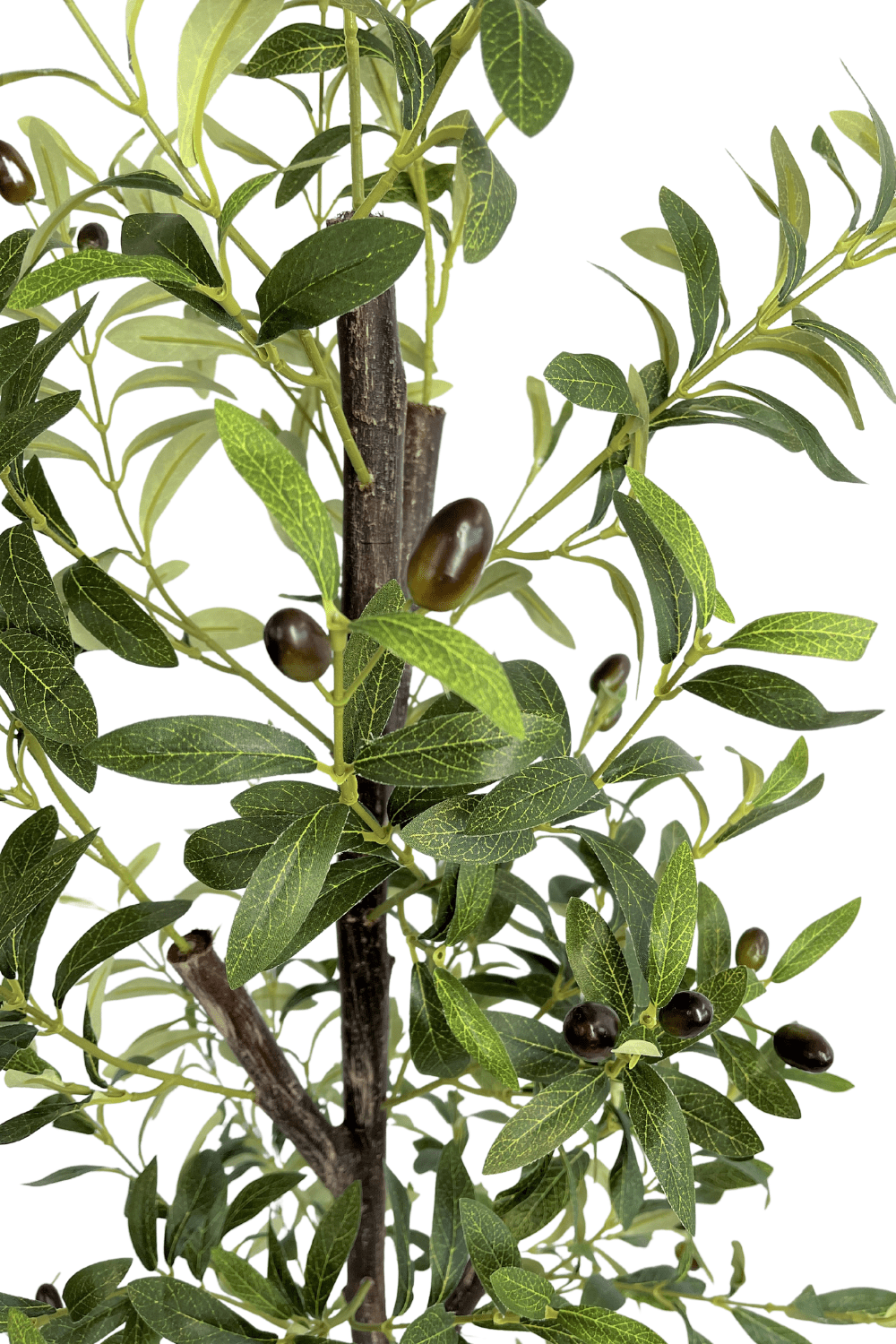 details Kunst Olijfboom 170cm