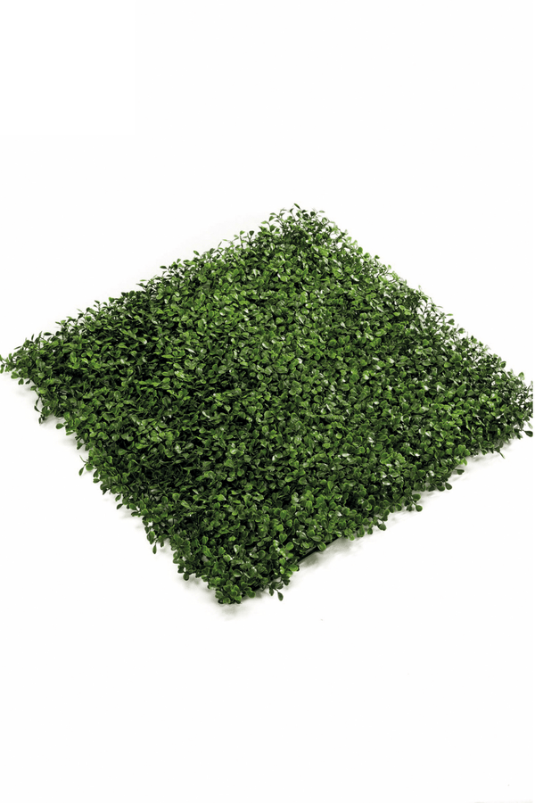 Kunsthaag Buxus 50x50cm UV