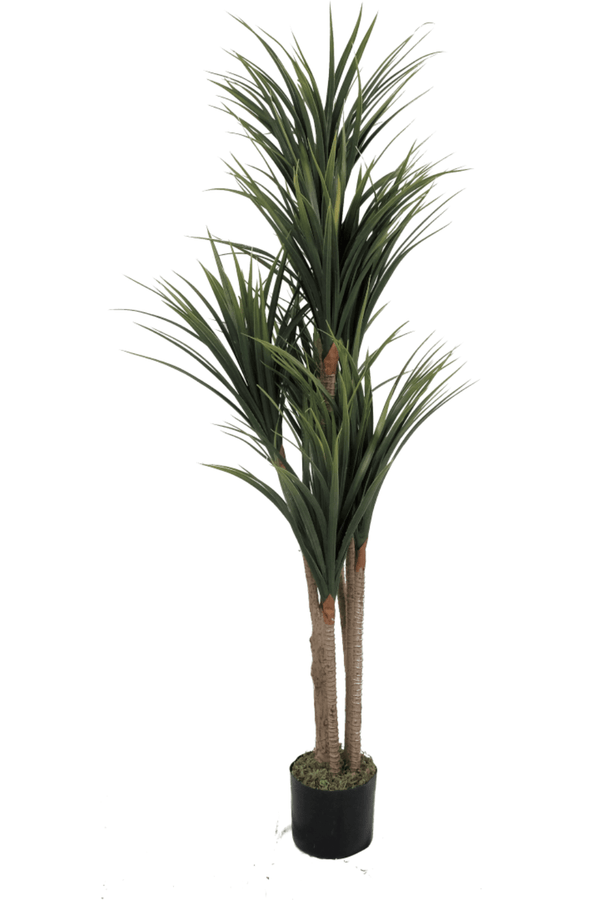 Dracaena Kunstplant 130cm