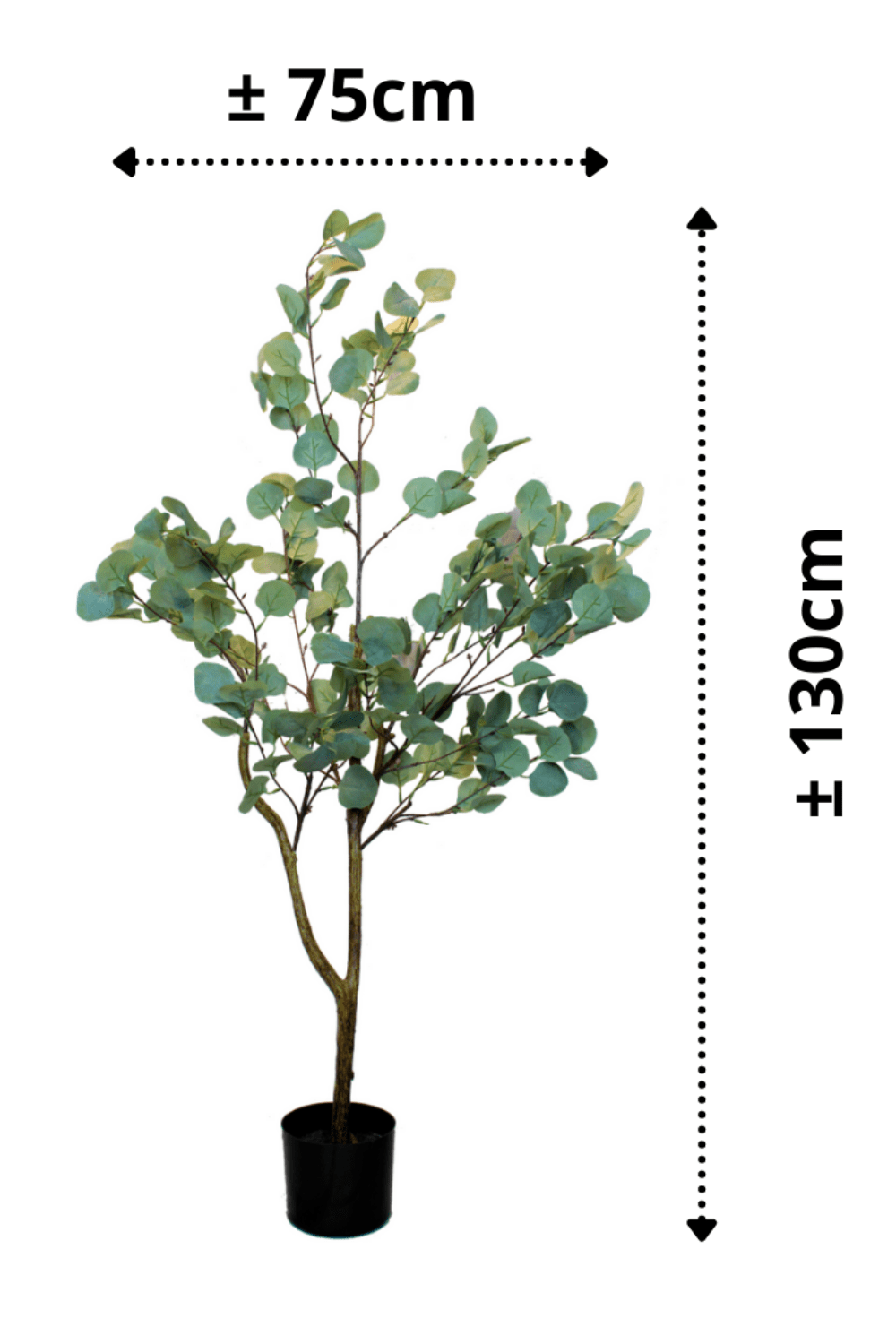 afmetingen Eucalyptus Kunstboom 130cm