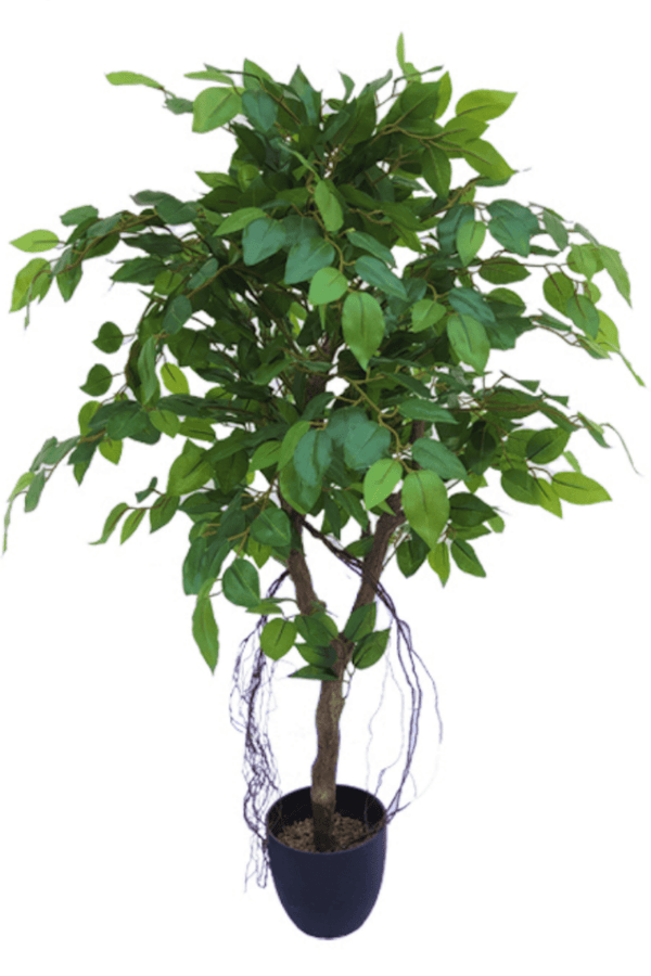 Ficus Kunstboom 100cm