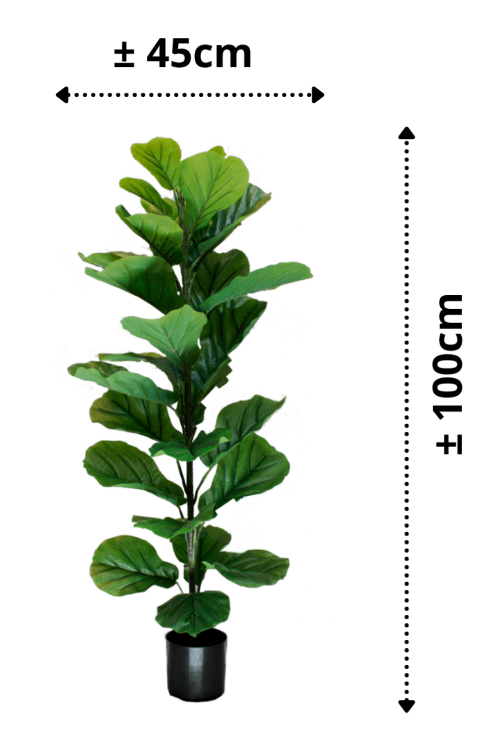 afmetingen Ficus Kunstplant 100cm