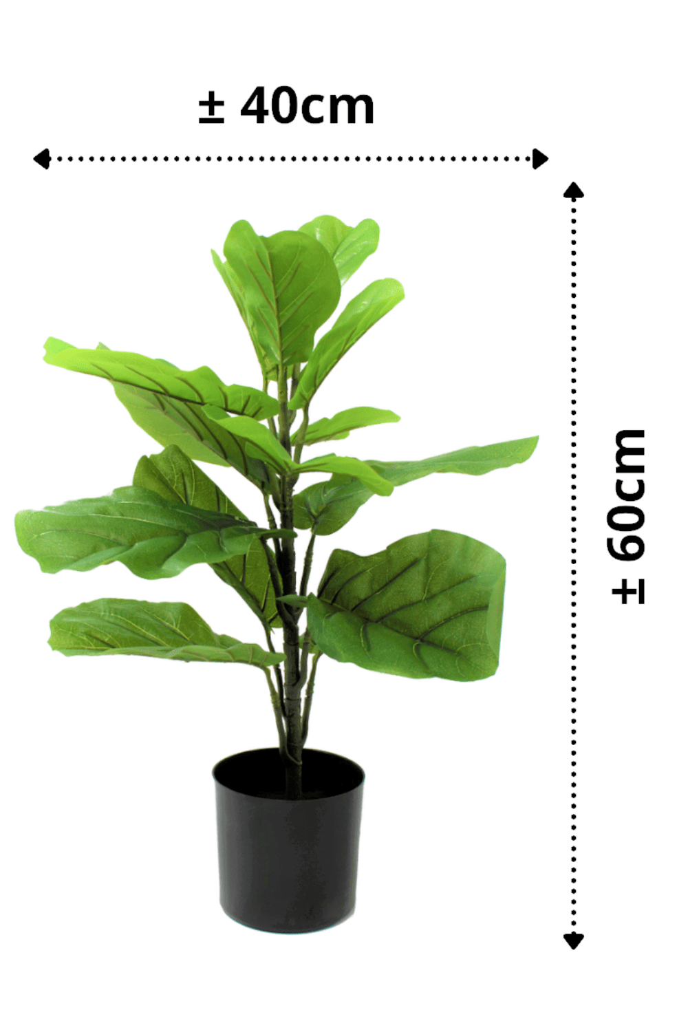 afmetingen Ficus Kunstplant 60cm
