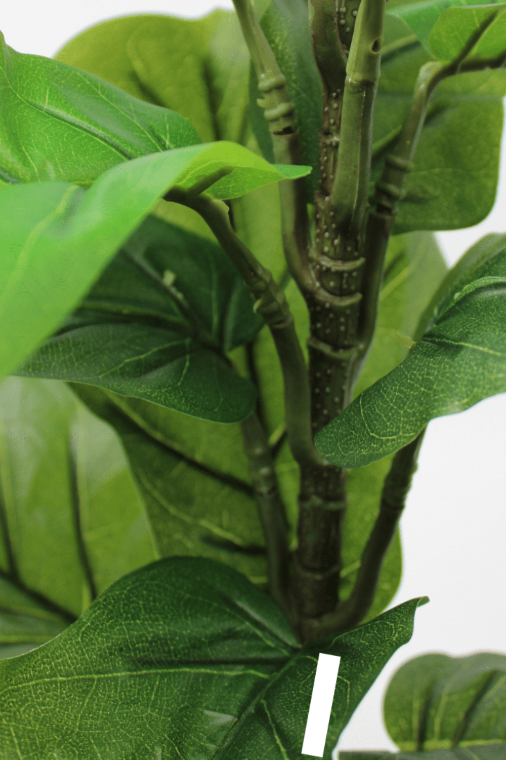 stam en bladeren Ficus Kunstplant 60cm