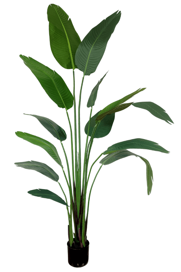 Strelitzia Kunstplant 210cm