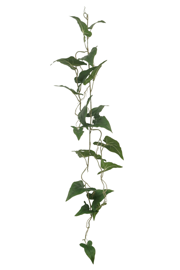 Typhonium Kunstslinger 120cm