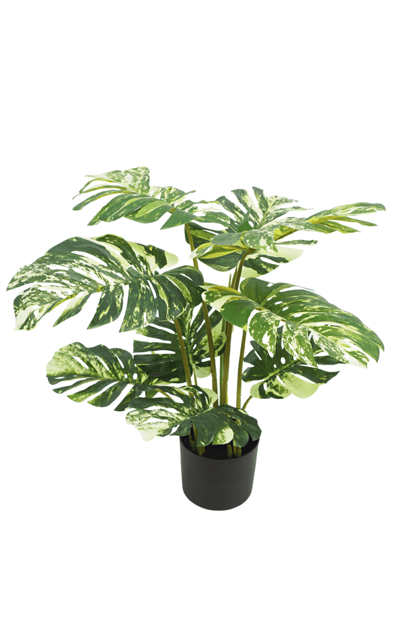 Monstera Kunstplant 75cm