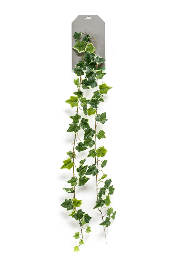 Hedera Star Kunst Slinger 180cm