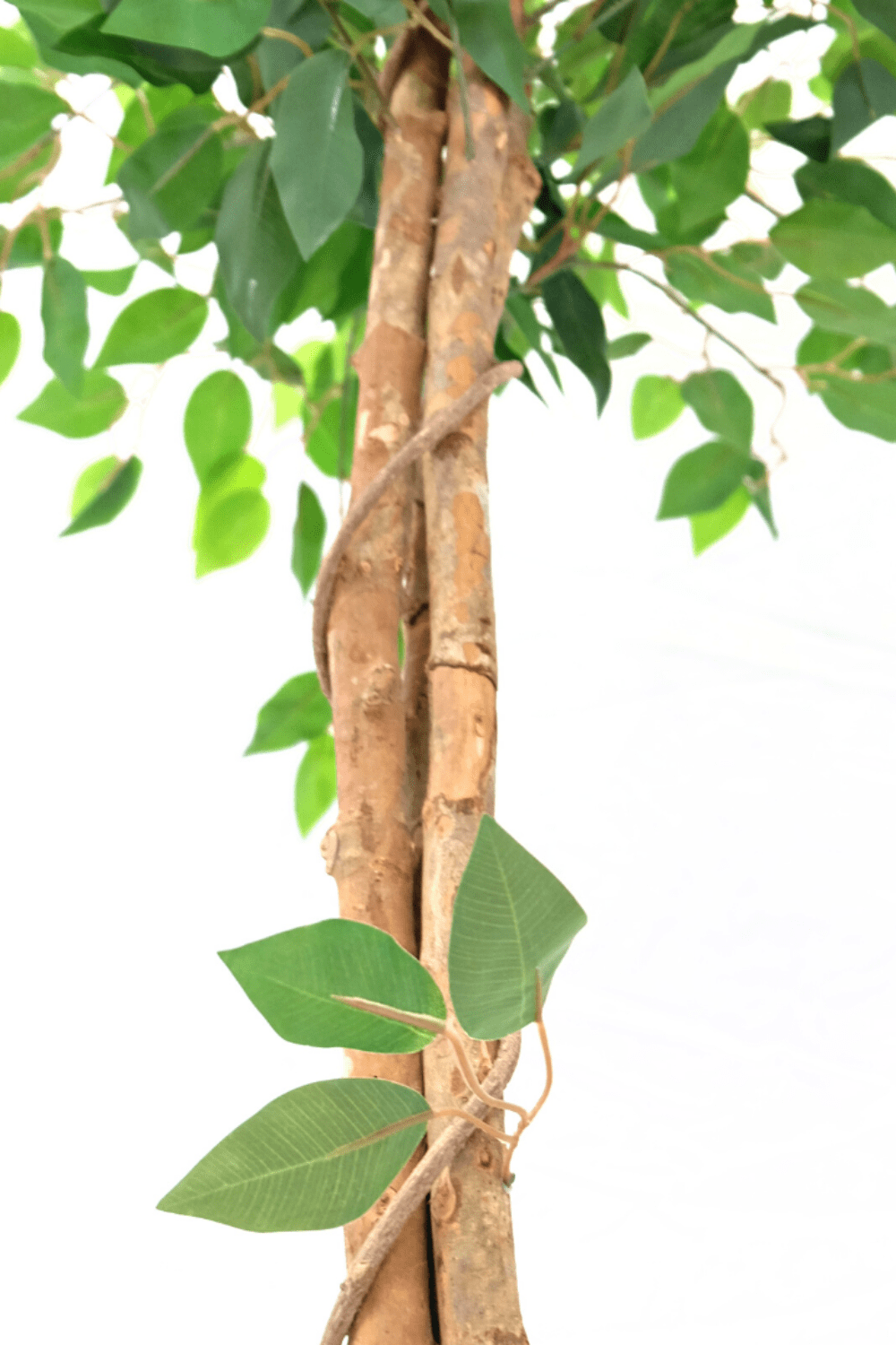 Ficus artificiel 150cm