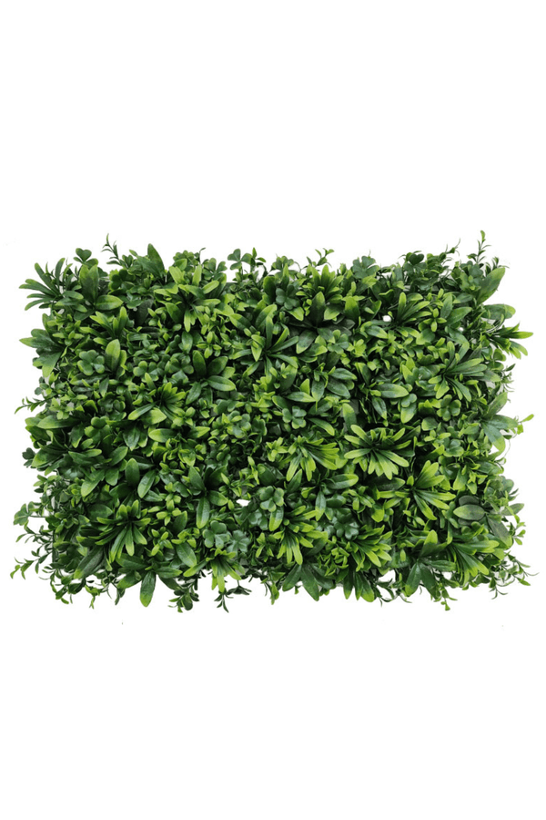 Kunsthaag Buxus Wandmat Mix UV 60x40cm