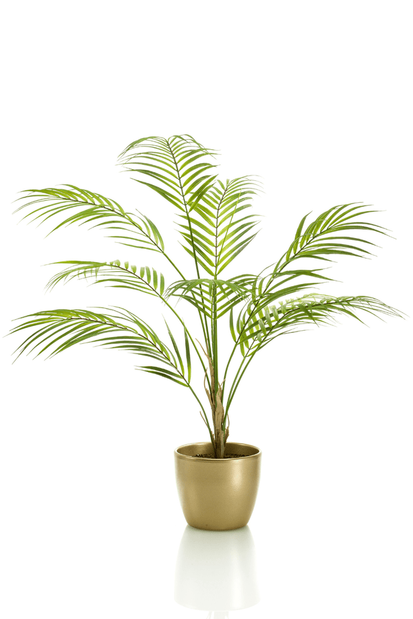 Kunstpalm Chamaedorea 85cm