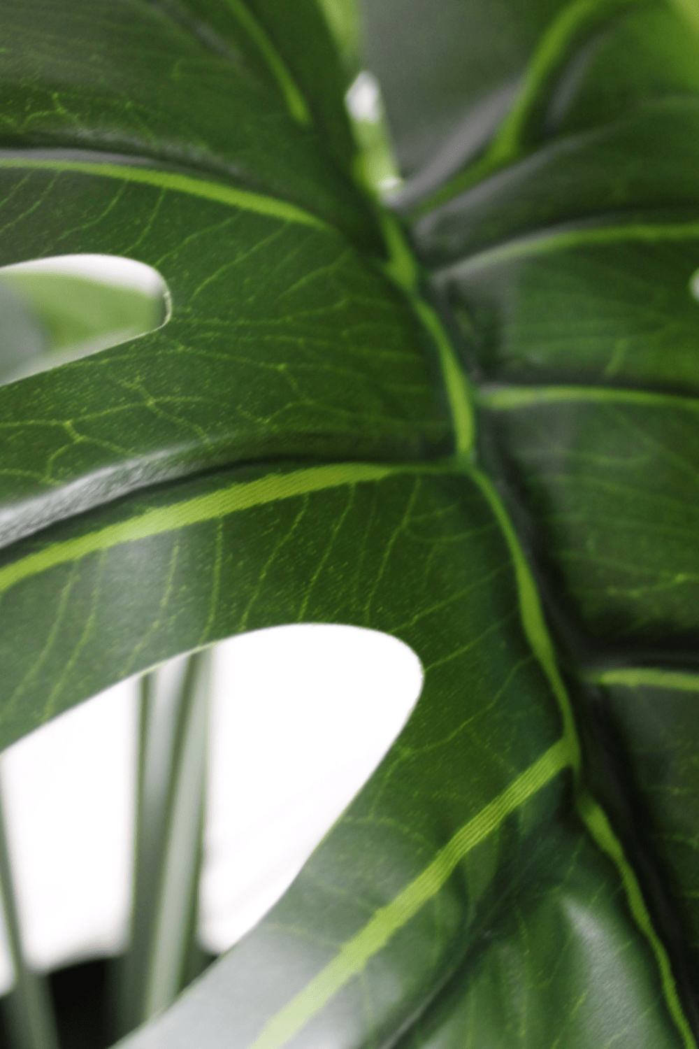 blad Monstera Kunstplant A 80cm