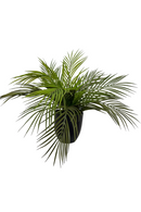 Kunstpalm 40cm