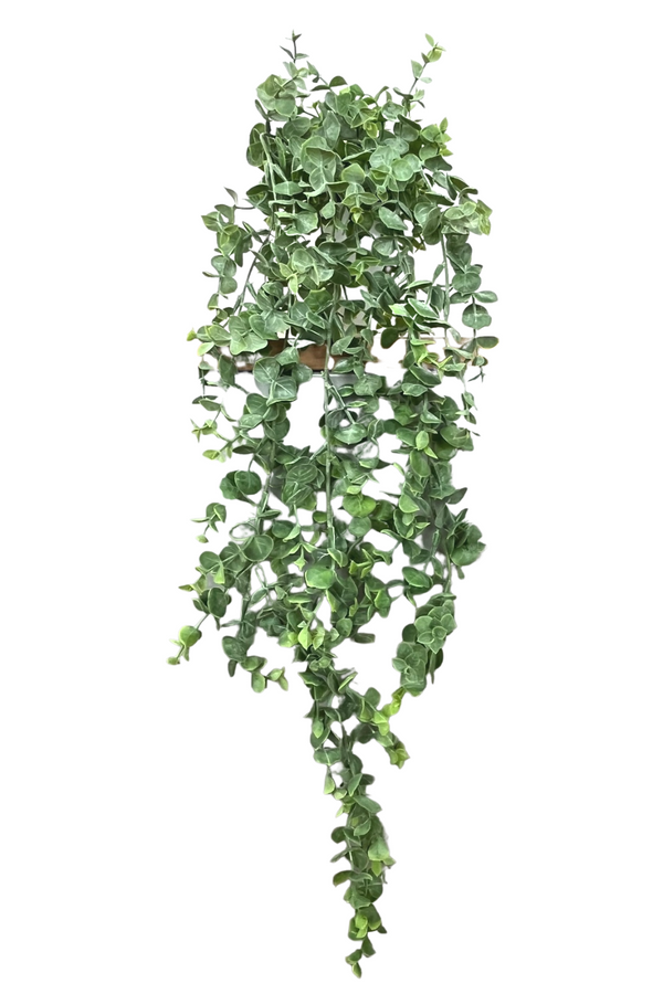 Plante Suspendue Eucalyptus Artificiel 60cm