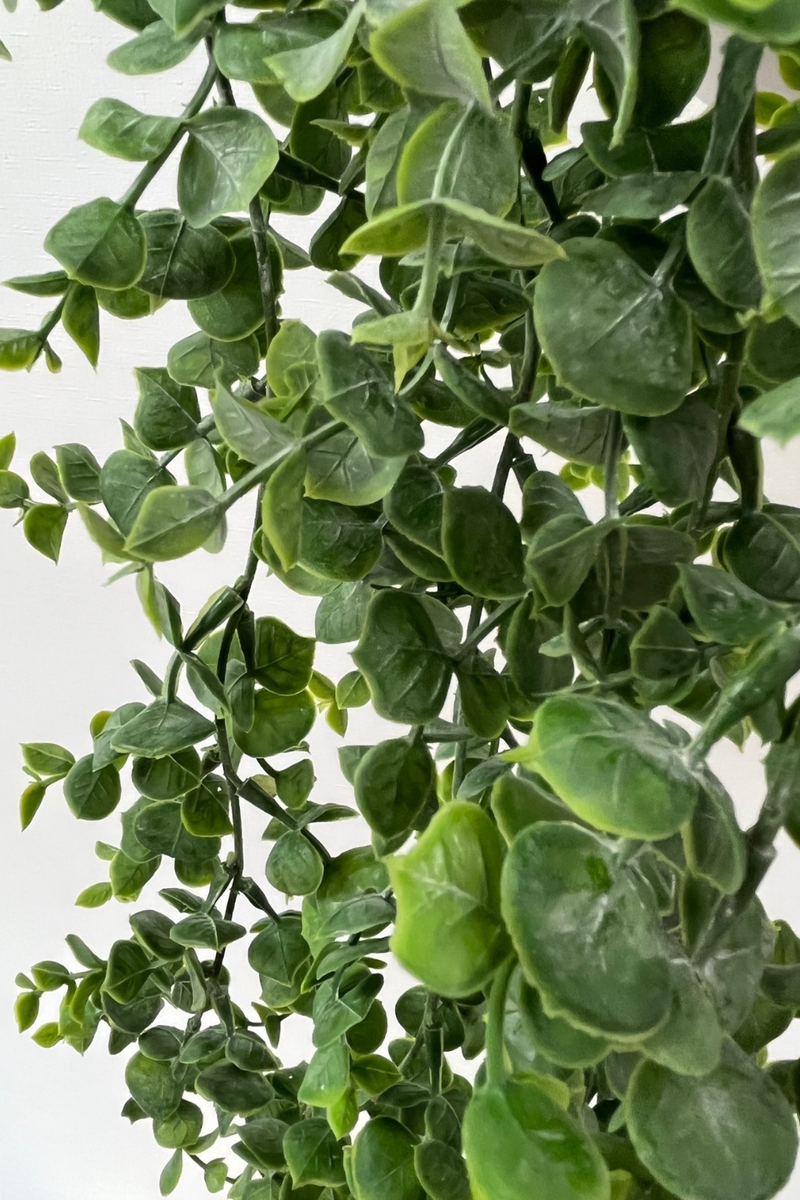 Plante Suspendue Eucalyptus Artificiel 60cm