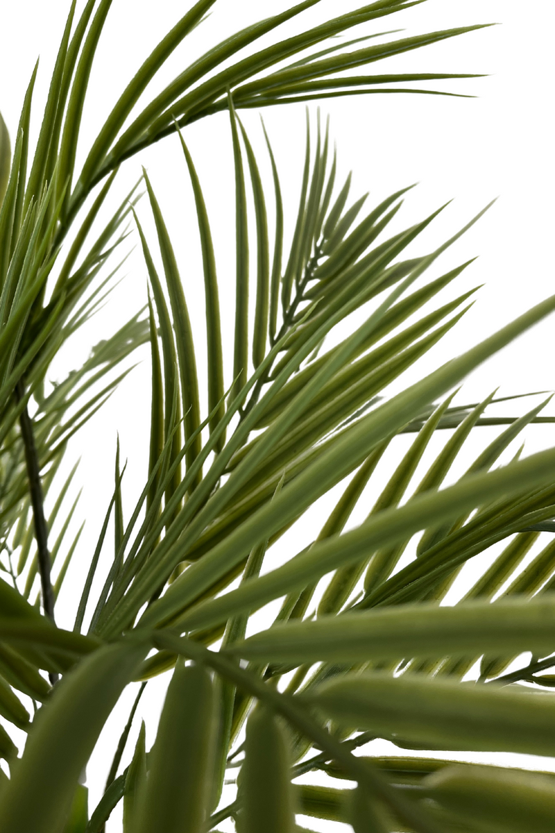 Plante Artificielle Grand Palmier d'Intérieur 3 Troncs - 180cm