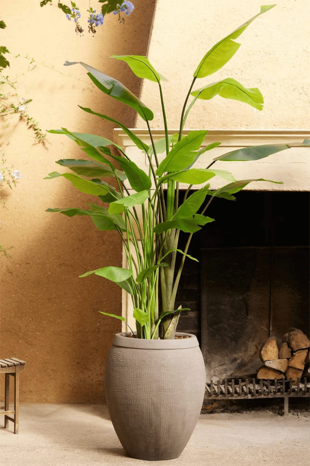 sfeerbeeld Strelitzia Nicolai Kunstplant 235cm