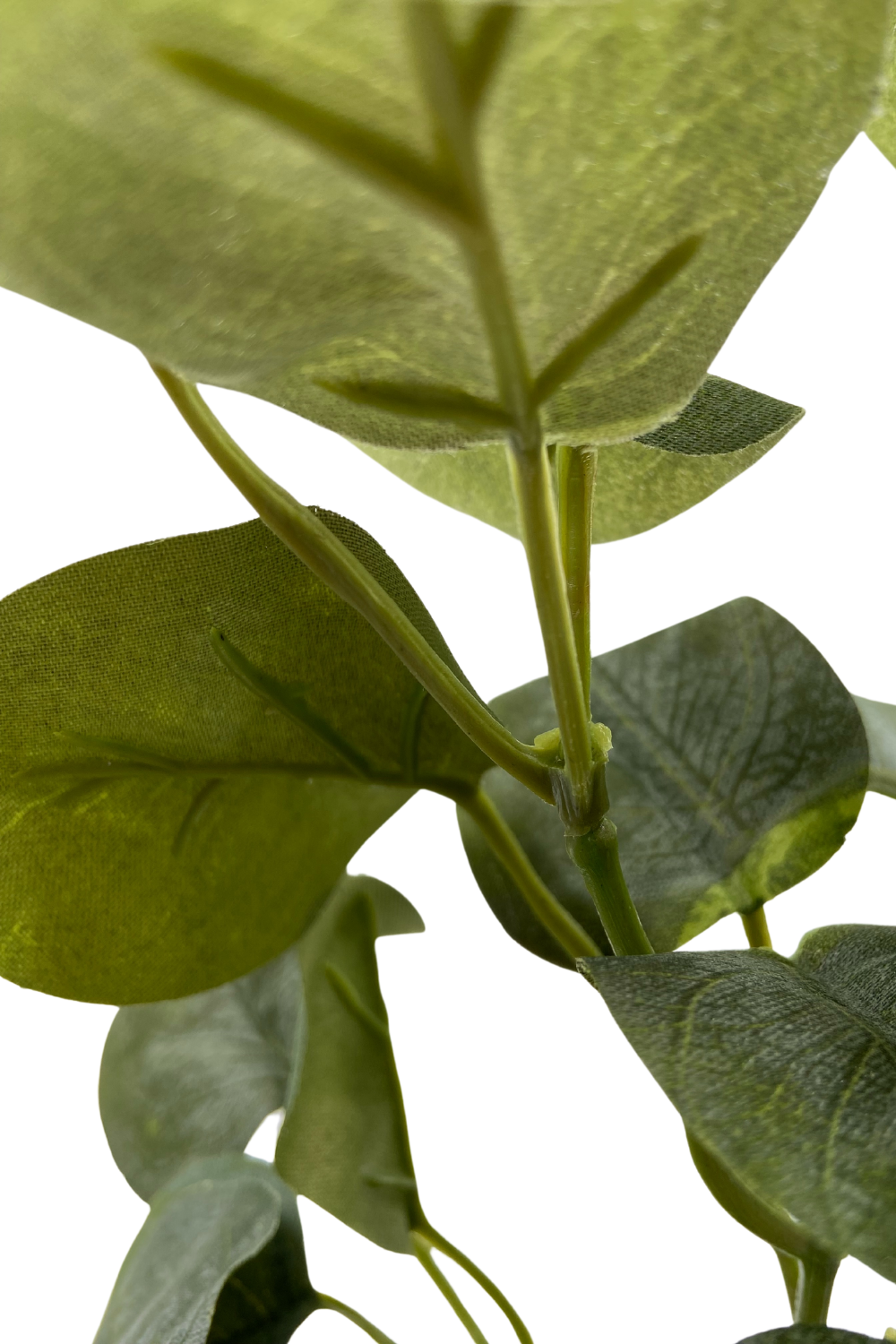 Plante Artificielle Polyscias 30cm