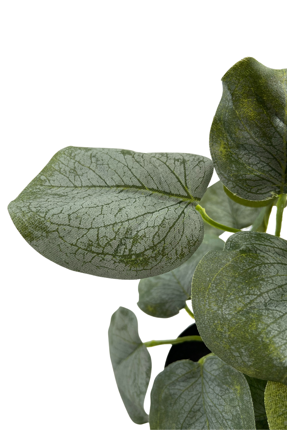 Plante Artificielle Polyscias 30cm