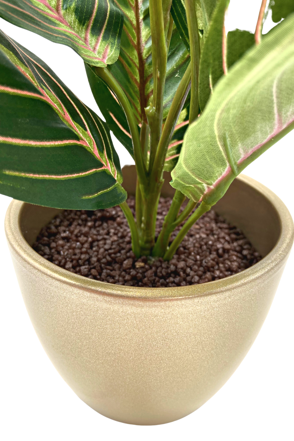 Buisson Artificiel Maranta 30 cm