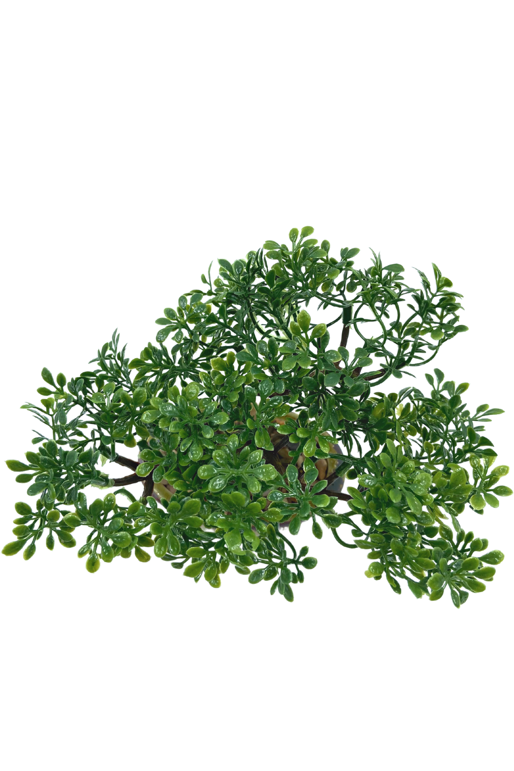 Mini Plante Artificielle Bonsaï 19 cm