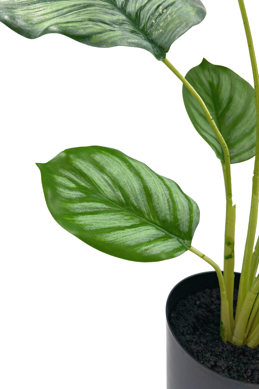 Calathea artificielle 45cm
