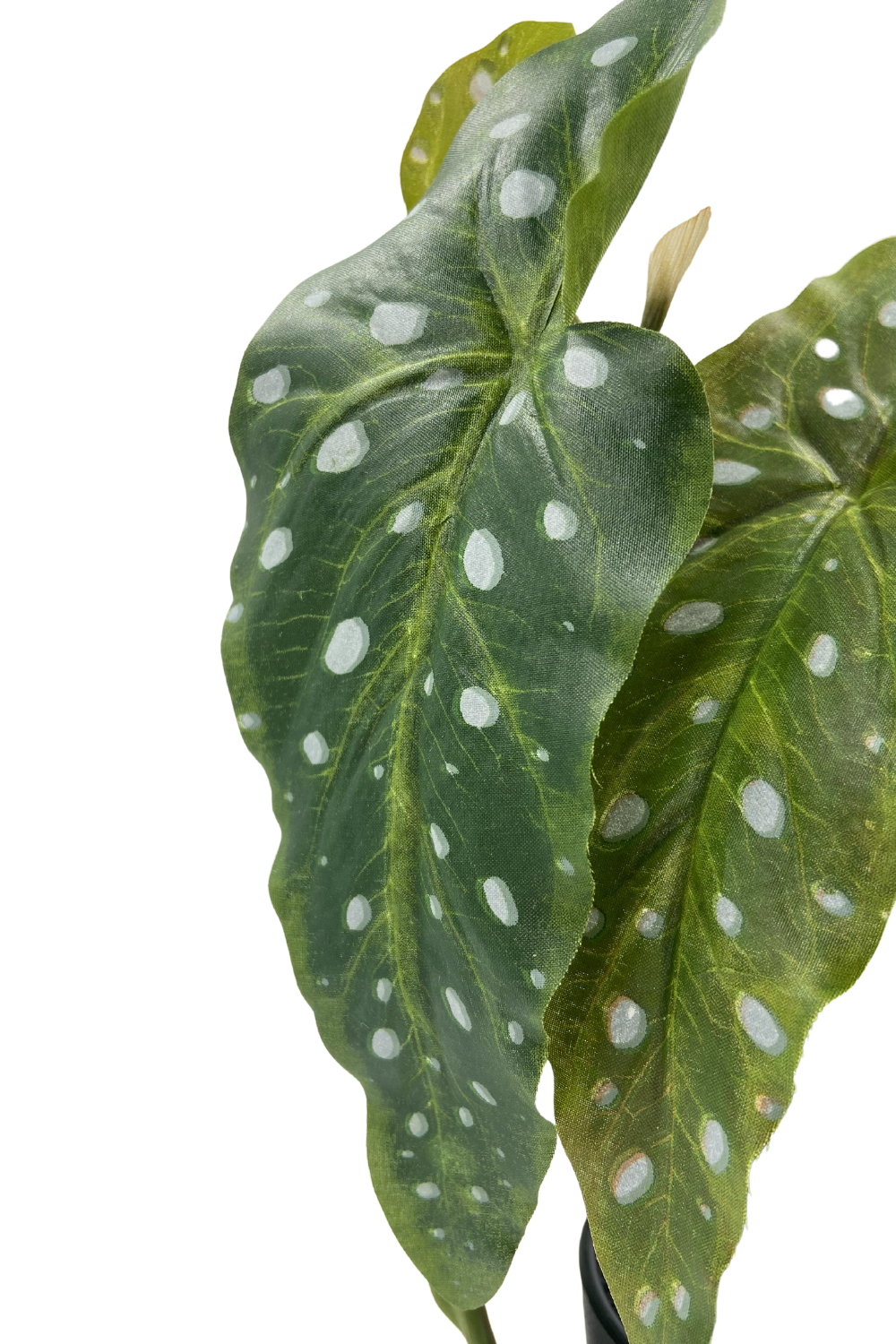 Plante Artificielle Bégonia Maculata 30cm