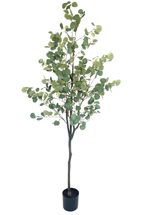 Eucalyptus artificiel 180cm