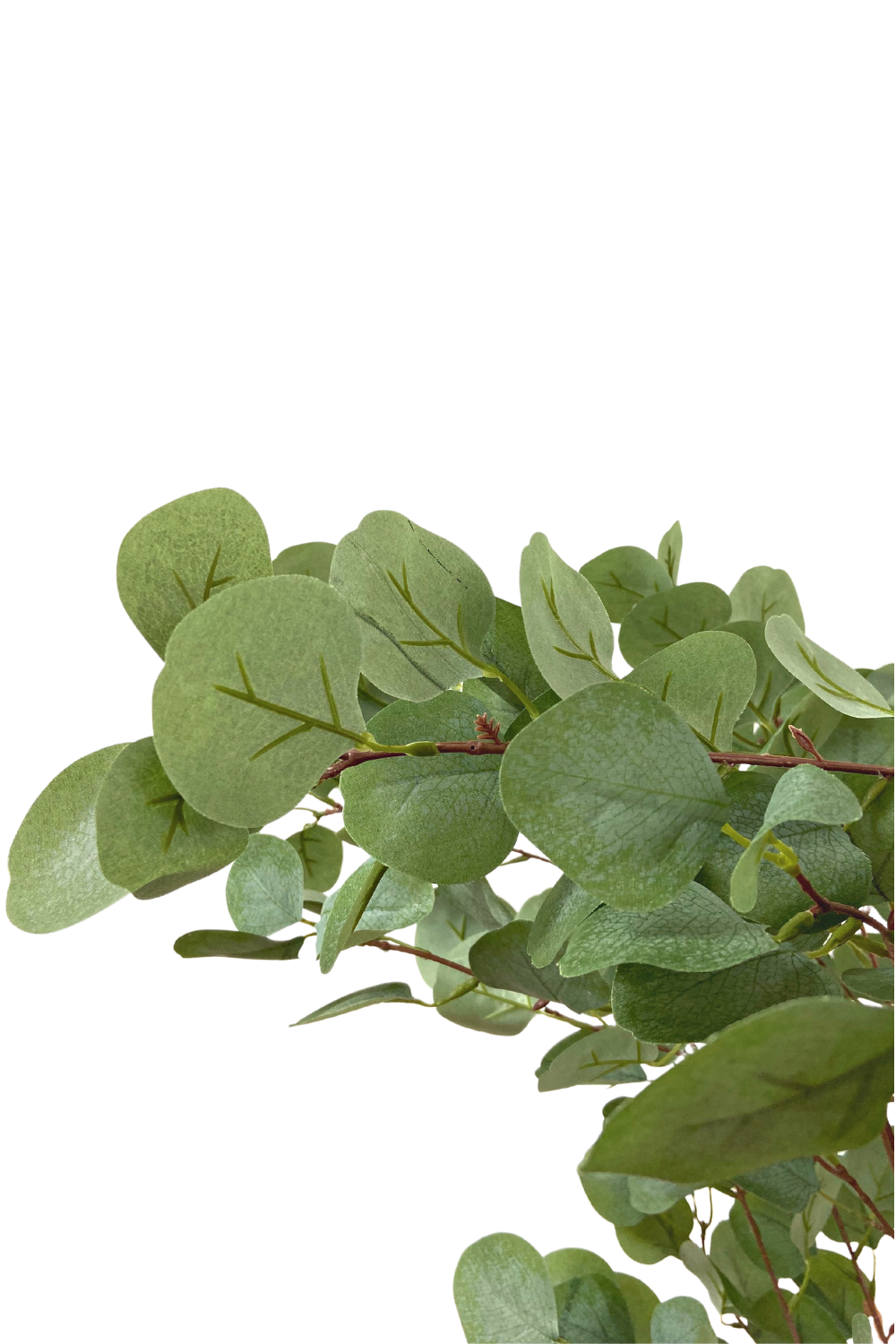 Eucalyptus artificiel 180cm