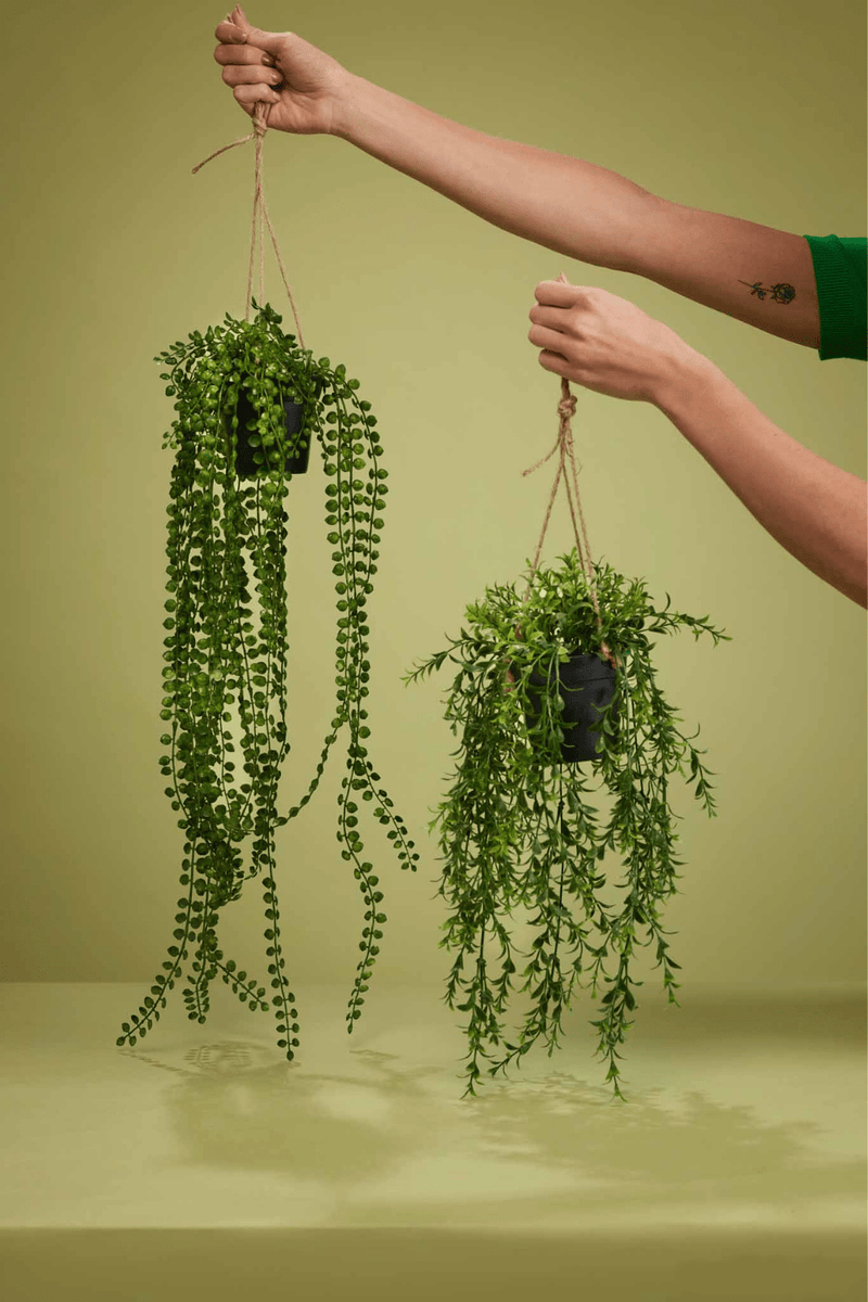 Syngonium Plante suspendue artificielle 50cm panachée