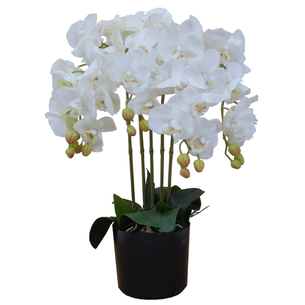 Kunst Orchidee wit 70cm